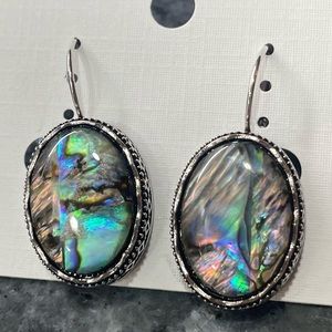 2/$25 or 3/$35 NWOT Oval large abalone oversized earrings